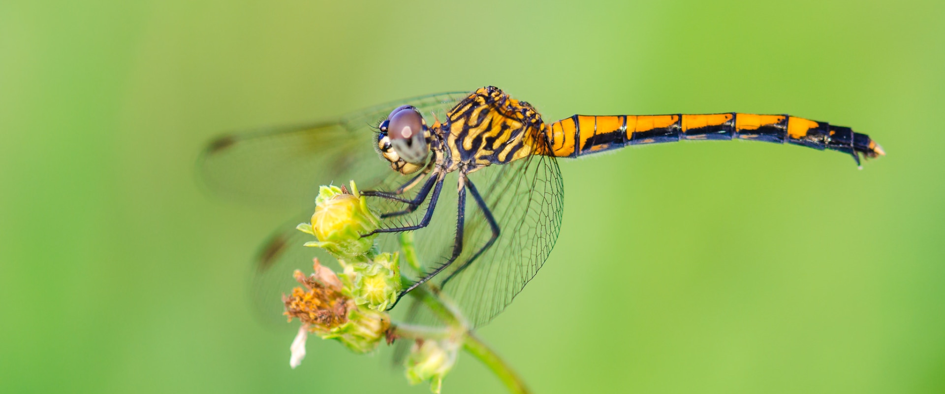 How to Get Started in Photography: A Comprehensive Guide