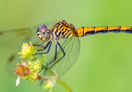 How to Get Started in Photography: A Comprehensive Guide